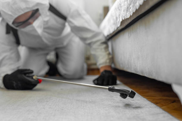 Professional Bed Bug Control technician working in Perris, CA